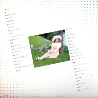 Big hit melodies best 36 - 2LP (1976) GW-3095-6 4