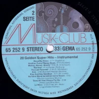 Disco Light Orchestra - 20 Golden Superhits instrumental (652529) 2